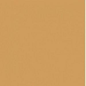 Paint and Paper Library Divine Brown Paint